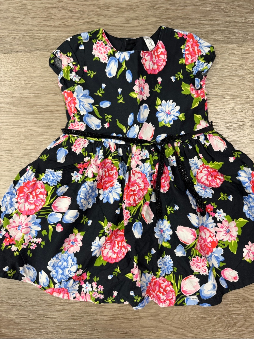 Carter's Kids Floral Black Party Dress with Pink & Blue Blooms